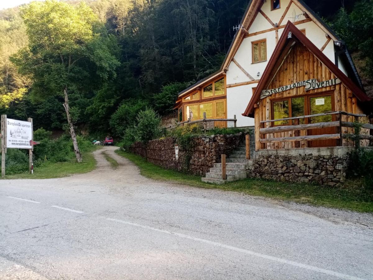 Staroplaninski Apartments Crni Vrh Kültér fotó