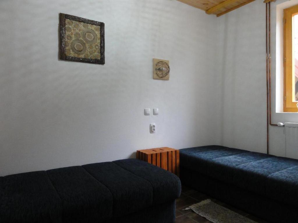 Staroplaninski Apartments Crni Vrh Kültér fotó