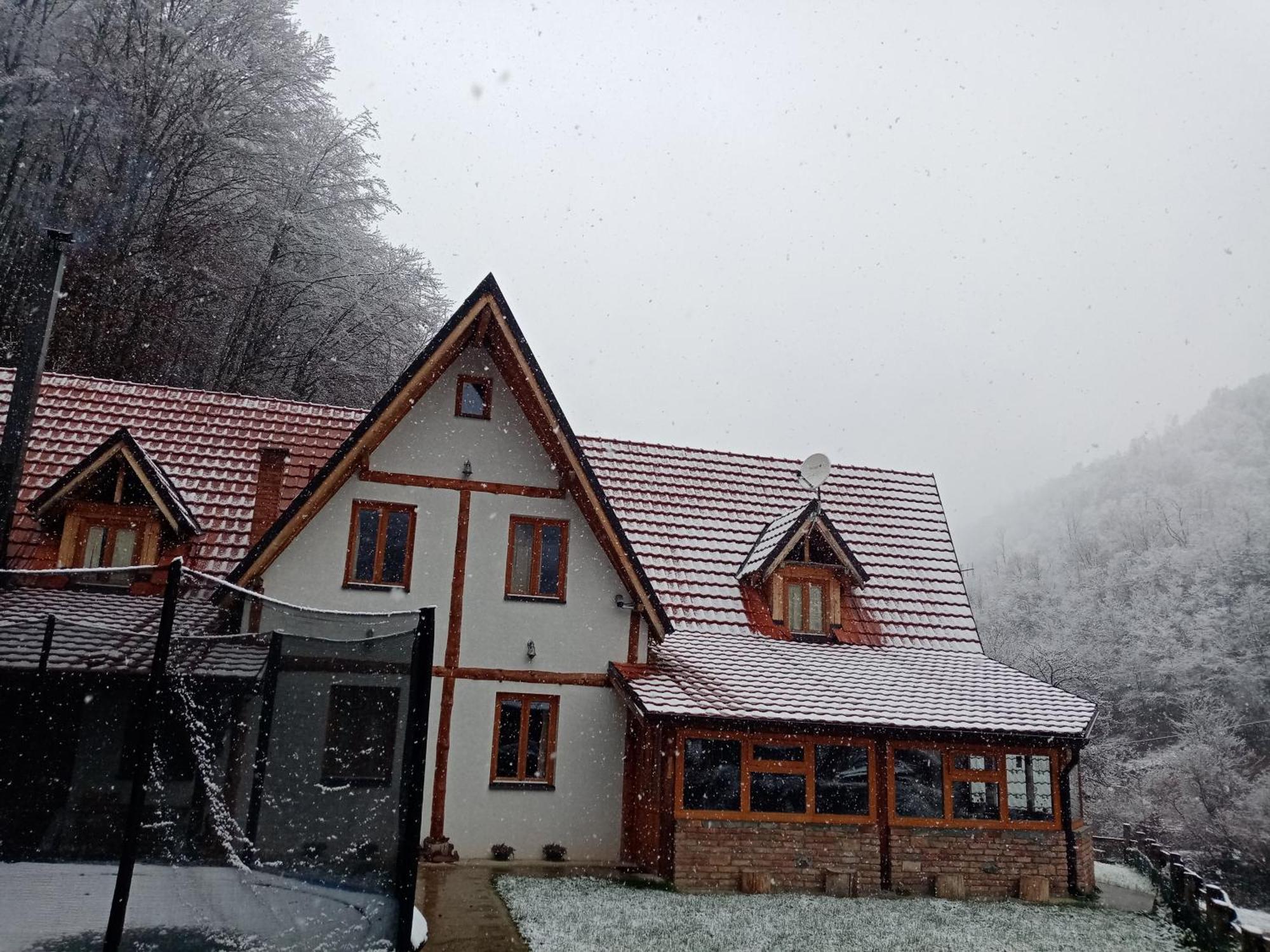 Staroplaninski Apartments Crni Vrh Kültér fotó