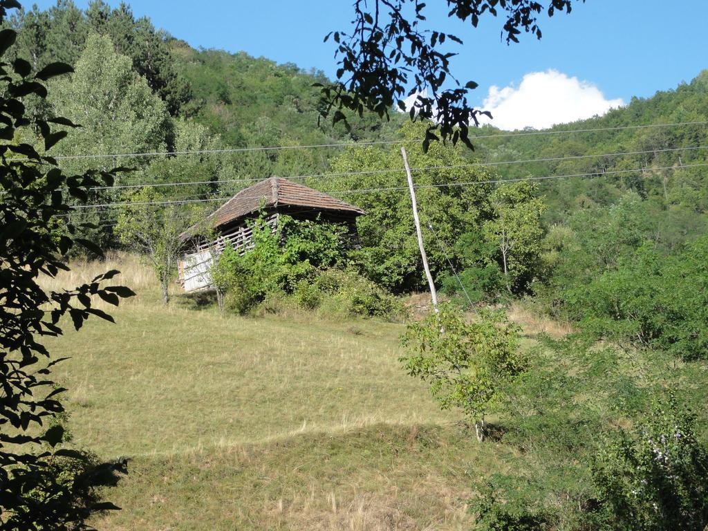 Staroplaninski Apartments Crni Vrh Kültér fotó